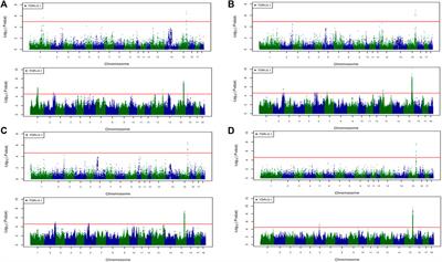 Imputation to whole-genome sequence and its use in genome-wide association studies for pork colour traits in crossbred and purebred pigs